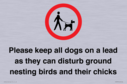 please-keep-all-dogs-on-a-lead-as-they-can-disturb-ground-nesting-birds-and-thei~